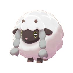 serebii bulletproof|Wooloo .